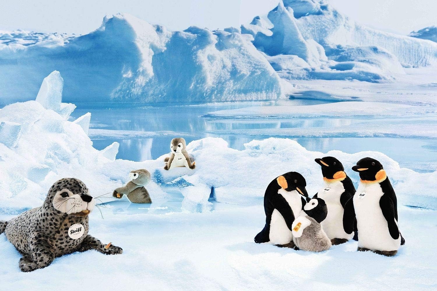 Steiff Robby Seal